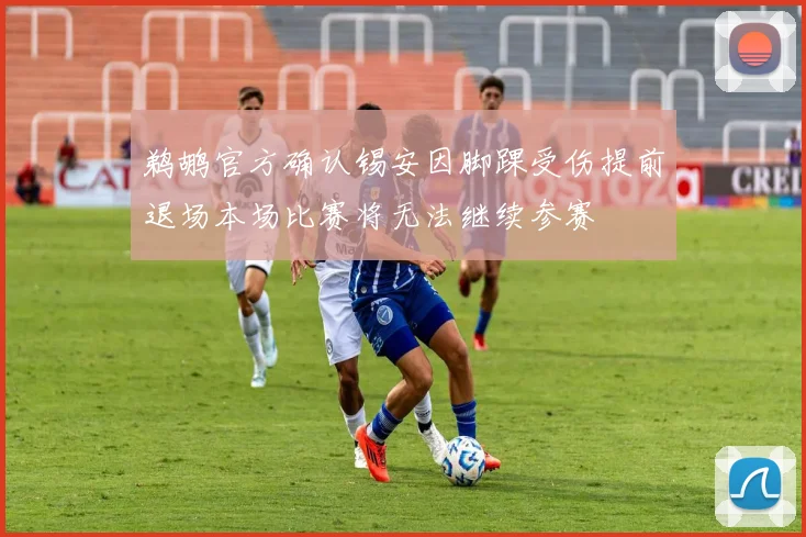 鹈鹕官方确认锡安因脚踝受伤提前退场本场比赛将无法继续参赛